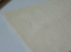 A picture of Handmade Spring Roll Wrappers and Gyoza Skins.
