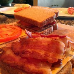 A picture of Bacon Tomato and Cheese Panini.