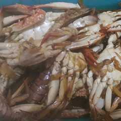รูปของ Rajungan Yummy