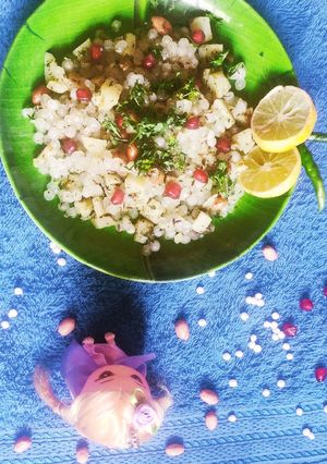 સાબુદાણાની ખીચડી (Sabudana Khichdi Recipe In Gujarati) રેસીપી મુખ્ય ફોટો