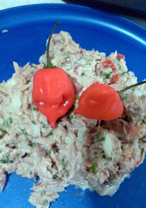 A picture of ensalada de atun (tuna salad).