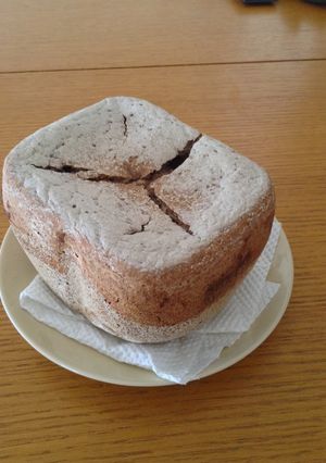 A picture of Bread Maker Rice & Rye Flour Bread.