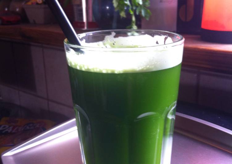 Simple Way to Make Super Quick Homemade Fresh Parsley Juice