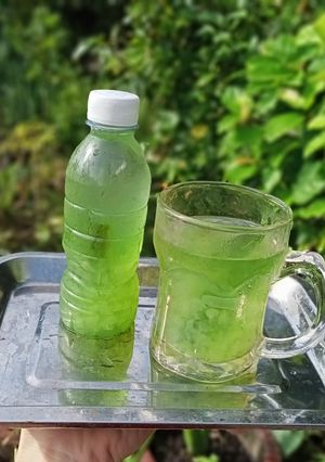 Hình của món Nha đam đường phèn lá dứa.