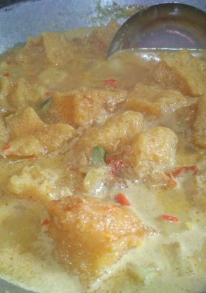 Foto resep Sayur Santan Kentang krecek