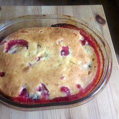 A picture of Plum pie.