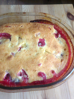 A picture of Plum pie.
