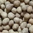 Kacang Telor Anti Gagal