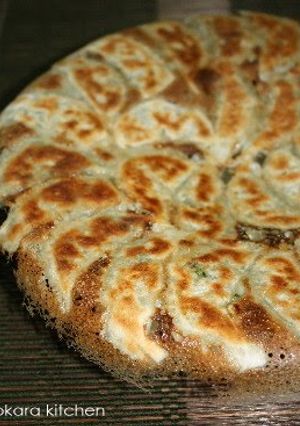 A picture of Revolutionary! Amazing Chinese Cabbage-Based Gyoza Pot Stickers.