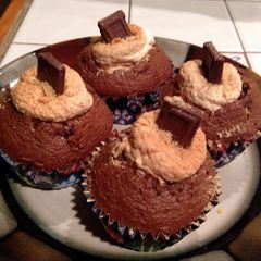 A picture of Chocolate Marshmallow S'more Cupcakes.