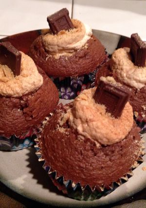 A picture of Chocolate Marshmallow S'more Cupcakes.