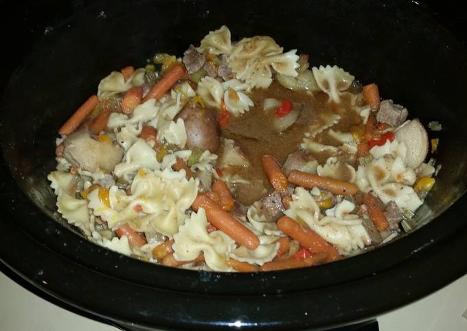 Slow cooker Bison Stoup(stew/soup)