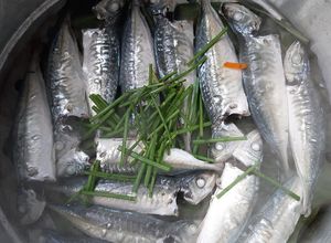 Hình của món Cá nục hấp cuốn bánh tráng.