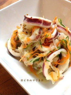 A picture of Marinated Squid.