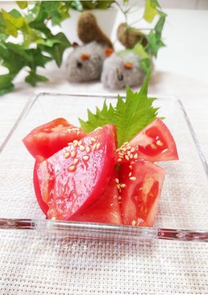 A picture of Easy Chinese-Style Tomato Salad.