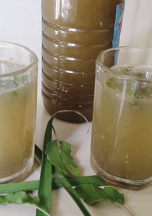 આમળા અને લીલી ચાનું શરબત(Amla-green tea sharbat recipe in Gujarati) રેસીપી મુખ્ય ફોટો