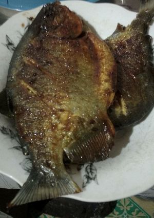 Foto resep Ikan Bawal Panggang