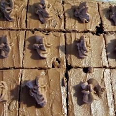 A picture of Chocolate Fudge Slice.