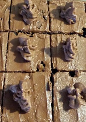 A picture of Chocolate Fudge Slice.