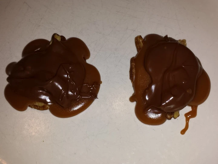 Easy Steps to Prepare Turtles the Delicious So Delicious