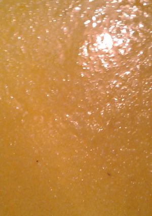 A picture of cheese grits.