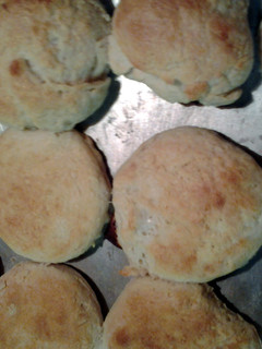 A picture of skunks buttermilk biscuits.
