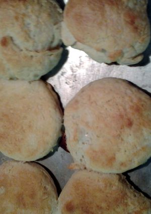 A picture of skunks buttermilk biscuits.