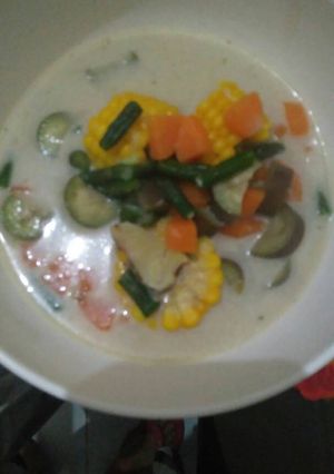 Foto resep Sayur lodeh pelangi