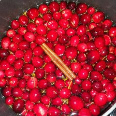 A picture of Orange Cranberry Relish!.