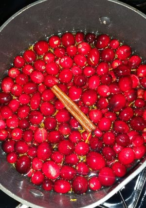 A picture of Orange Cranberry Relish!.