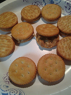 A picture of Skye's Snack Crackers.