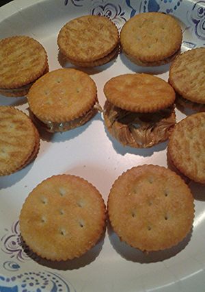 A picture of Skye's Snack Crackers.