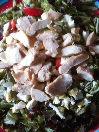 Easy Steps to Prepare Good Chicken Salad the Delicious Delicious