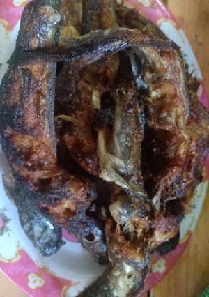 Foto resep Lele goreng