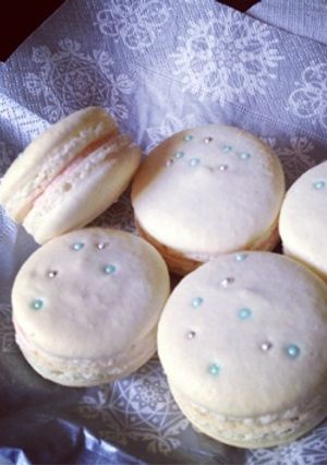 A picture of Frozen Macarons.