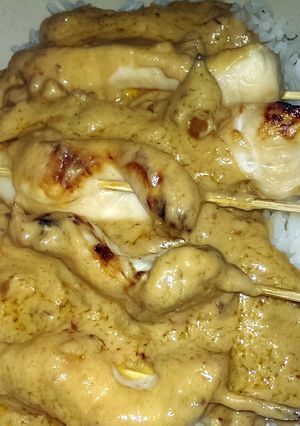 A picture of Chicken Satay Aus style.