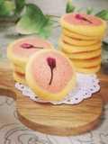 Spring Scenery Sakura Cookies