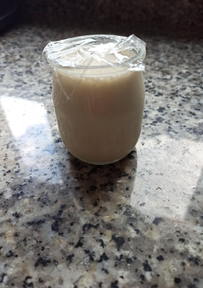 Una foto de Yogur casero Mambo