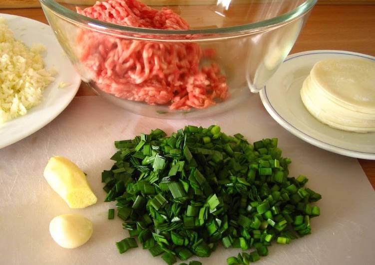 Step-by-Step Guide to Prepare Speedy Easy Handmade Gyoza Dumpling Filling