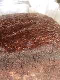 Brownies