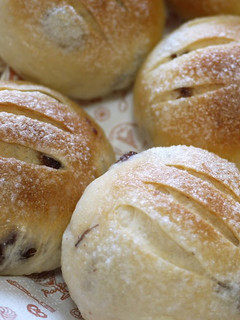 A picture of Sugar Raisin Rolls (Made with a Bread Maker).