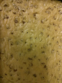 A picture of Thick and Chewy chocolate chip bars.