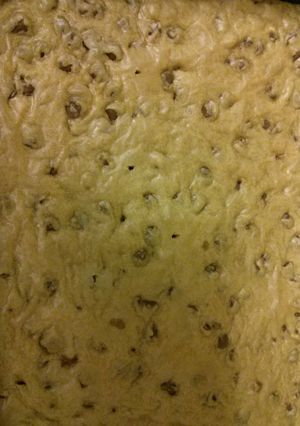 A picture of Thick and Chewy chocolate chip bars.