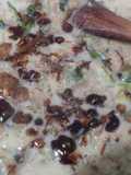 Salsa de Shiitakes deshidratados(para carnes, pescados o pastas)