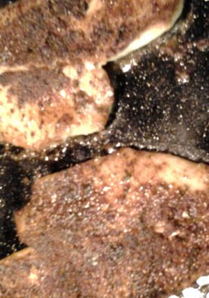 A picture of blackened flounder.