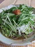 Refreshing Chilled Soba with Ume Flavor