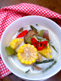 Foto resep Sayur Lodeh Bumbu Iris Simple