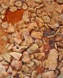 Favas estufadas com Carne de Porco
