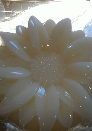 Foto resep Puding Kelapa Muda
