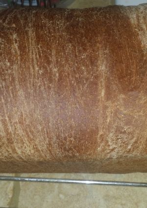 A picture of Basic wheat bread.